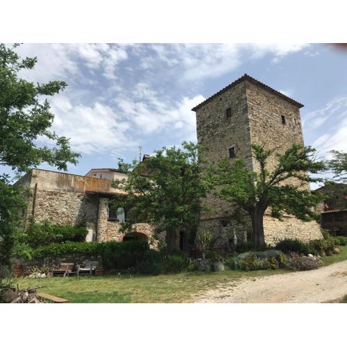 Case di Vetulonia