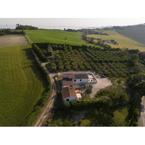 Casetta tra gli ulivi