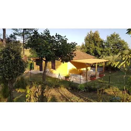 Casina Margherita