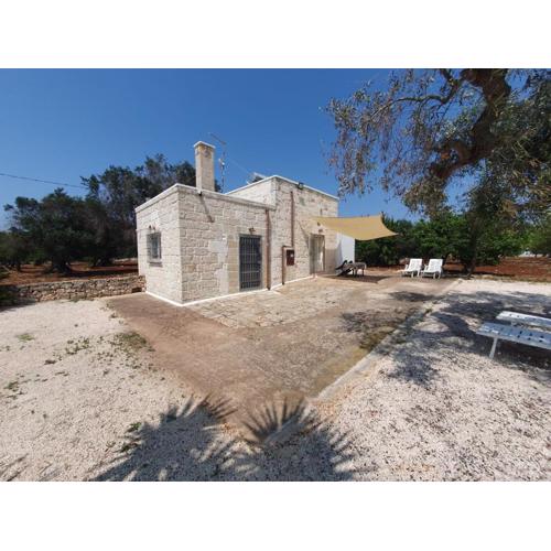 casina tra gli ulivi