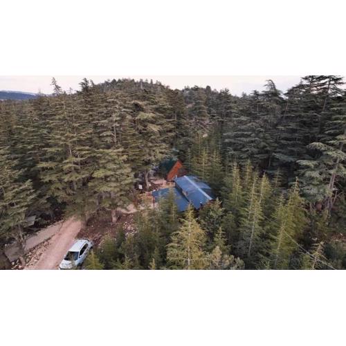 Cedrus life bungalov tesisi