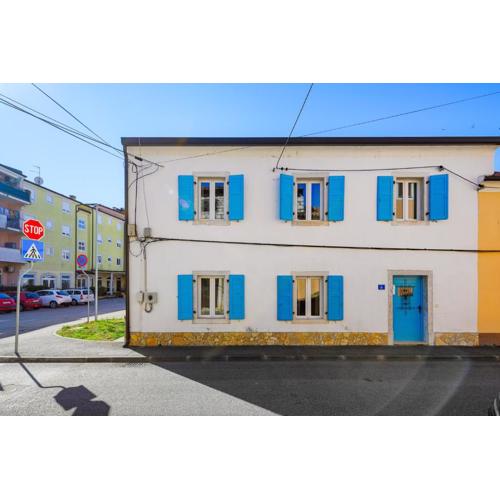 CENTER house with apartments