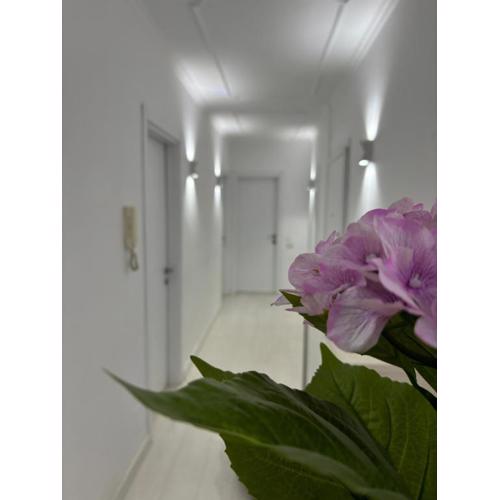 Center, Selvia White Apartment