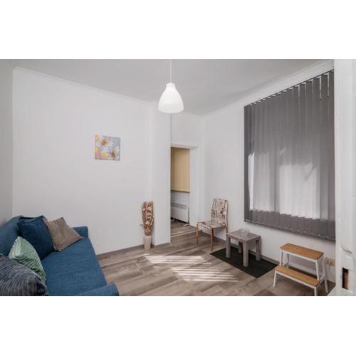 Central 1BD Next to Womens Market and Sofia\