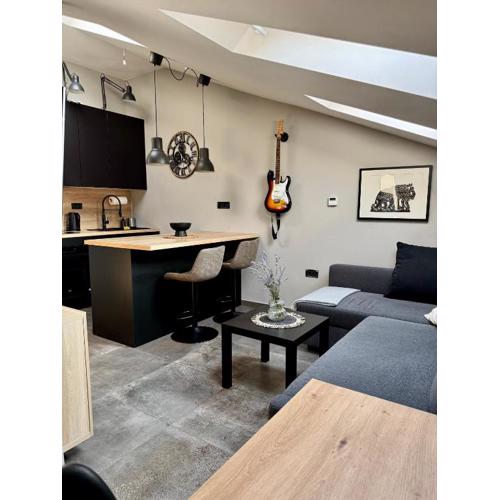 Central Ami suite & private parking
