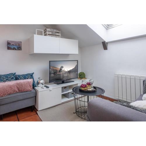 Central and bright temporal penthouse Madrid center MYR137C