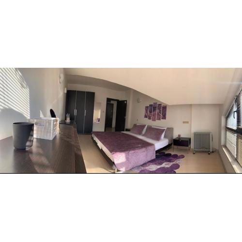 Central Art Apartment in Bansko with Mountain View