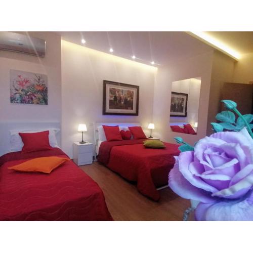 Central Domus Matera B&B