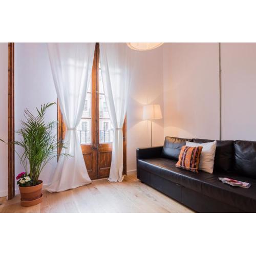 Central Entire Apartment 3 rooms 12