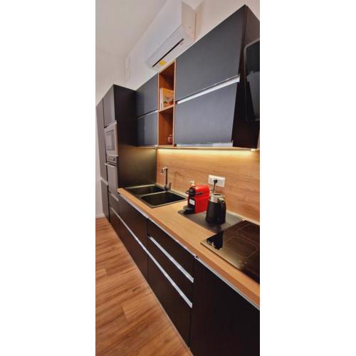 Central Loft Carina ideale per visitare il Centro di Torino