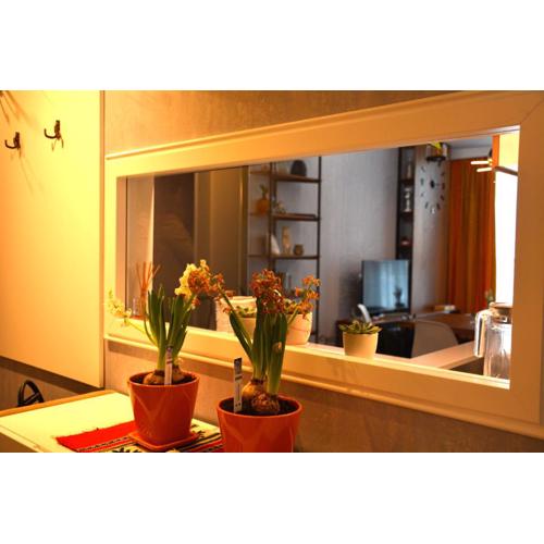 Central Luxury Apartment