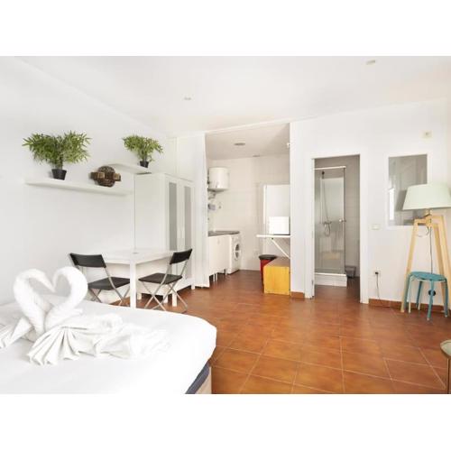 Centrally located studio in Madrid - 382