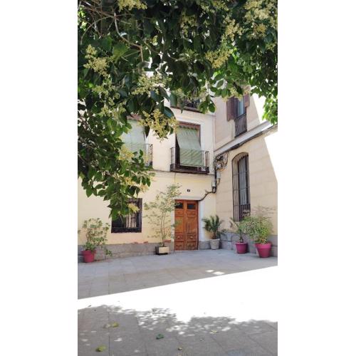 Céntrico apartamento con patio