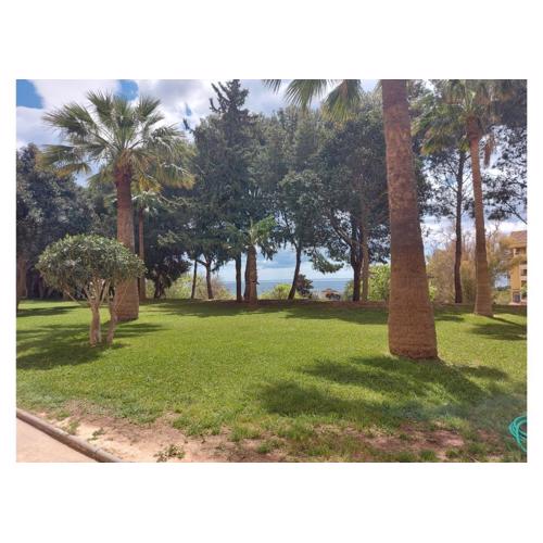 CENTRICO ESTUDIO EN IRIS