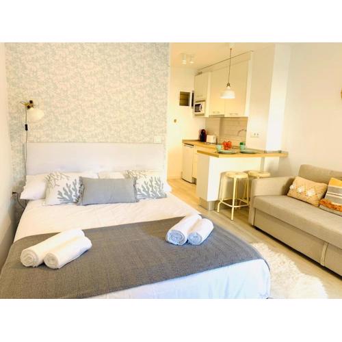 Céntrico estudio totalmente reformado