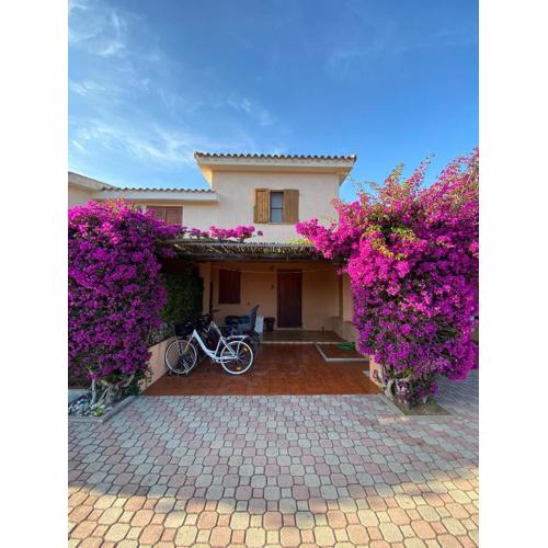 Centro e Cinta beach free bikes