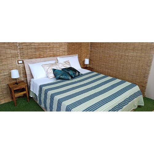 Cerami Jungle Suite