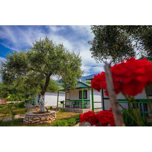 Chalet Ambel
