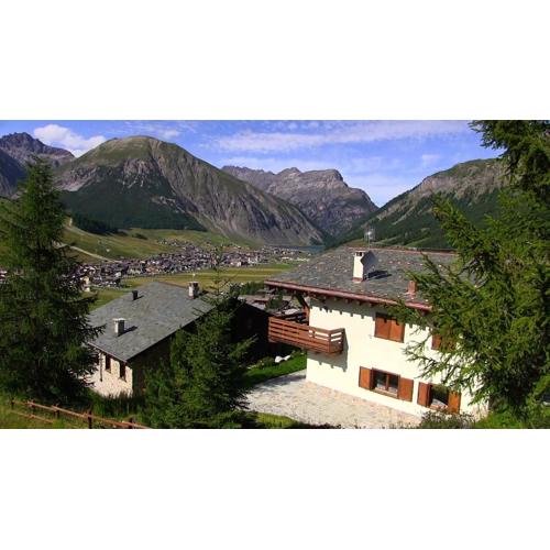 Chalet Elena