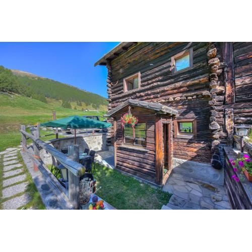 Chalet Sciachilo Ski In-Ski Out Mt 10 - Happy Rentals