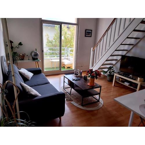 Charmant Duplex aux Minimes