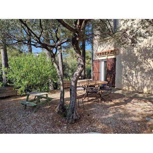 Charmant T1 de 30 m2 en rez de villa