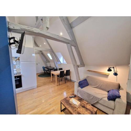 Charmant T2 - Hypercentre Rouen - 295