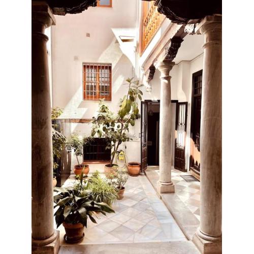 Charming Spacious Albayzin Apartment