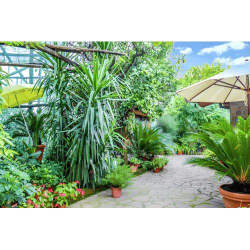 Charming Studio with Sea View in Sorrento - 35 sqm + Terrace