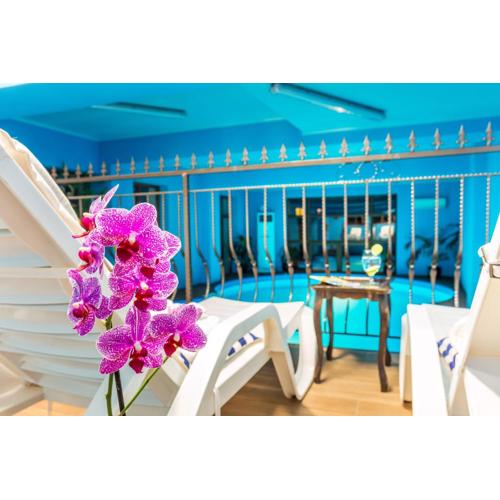 Chateau Montagne Hotel Troyan