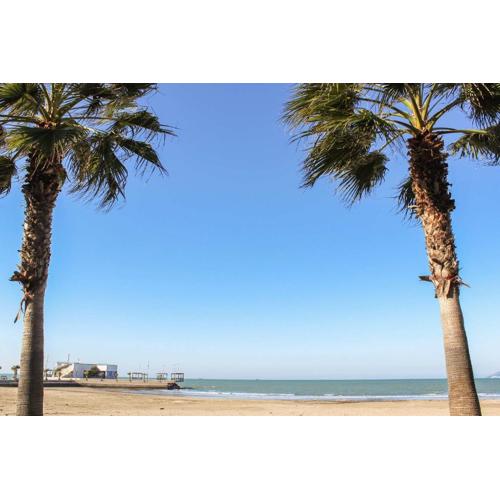 Chess & Beach 786