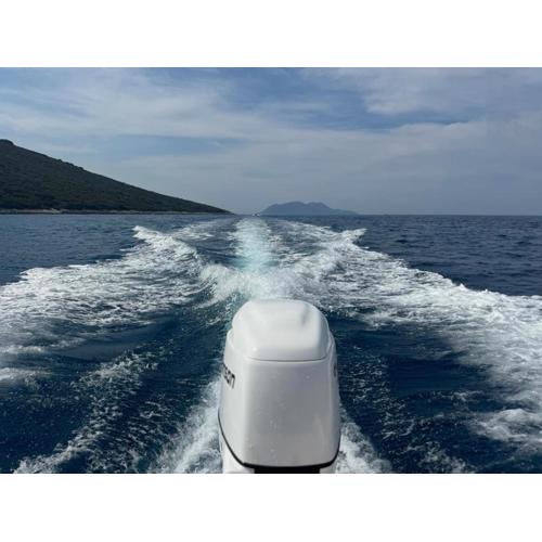 Chosen Boat Trip by T
