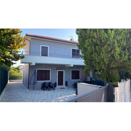 Cingohouse