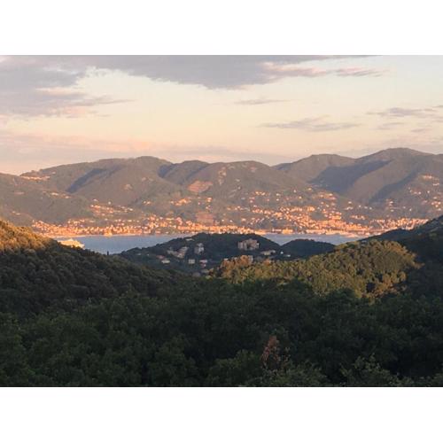 Cinque Terre, Tuscany, Liguria, Lerici #5