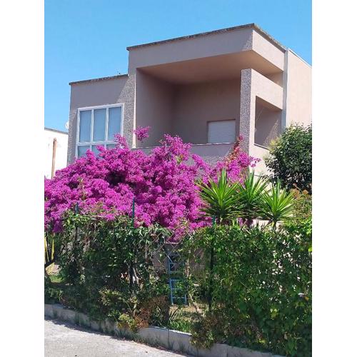 Cinzia House