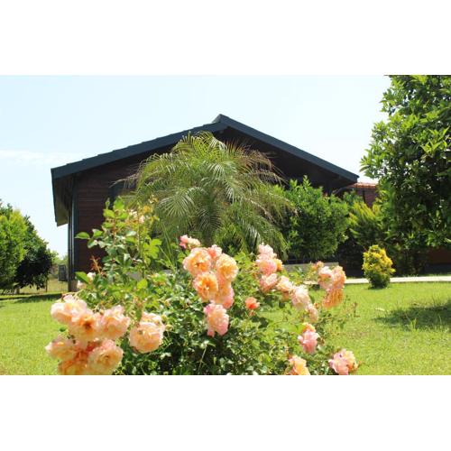 Çıralı Villa\