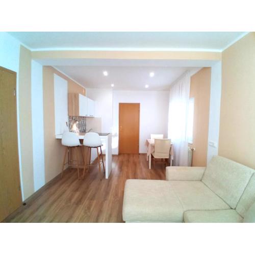 City Center Apartment and Room