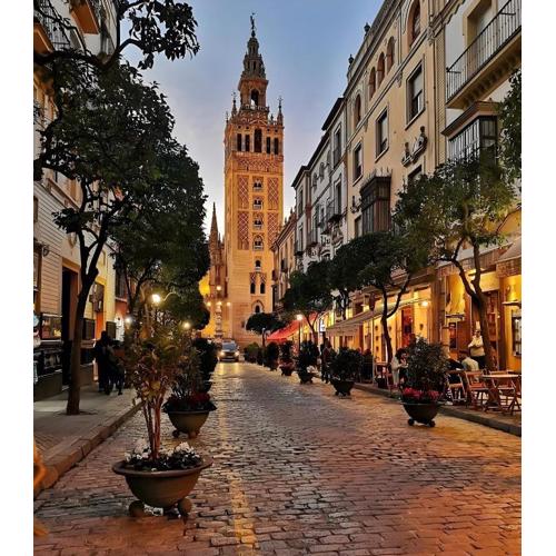 City Center Las Setas 1