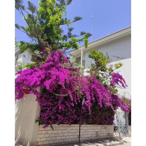 City Garden & Private Parking