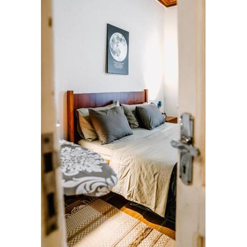 City Grove: Blooms and Beds