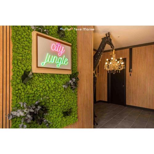 City Jungle, Terre Marine