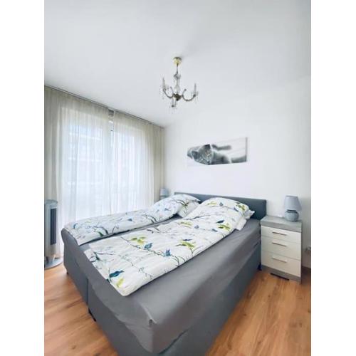 CityCosy ORANGERIE Strasbourg Appartement 2 pièces en face de parc de L\