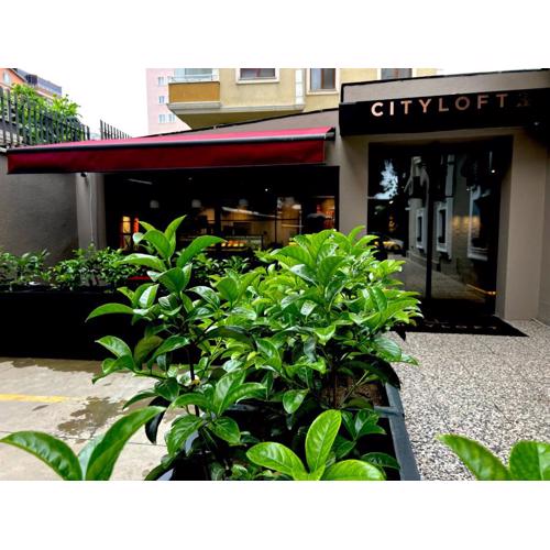 Cityloft 36
