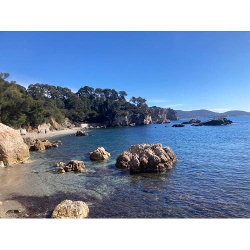 Clairière du Cap Brun