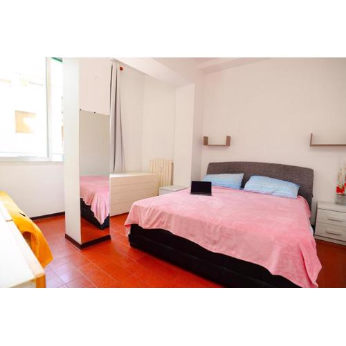 Classic Appartment