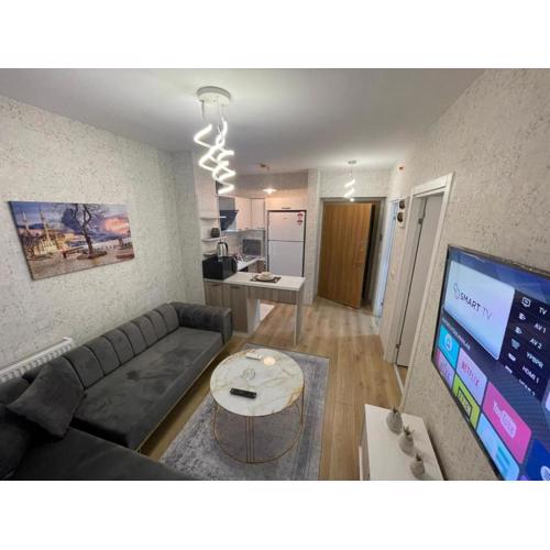 Classic Suite SH17
