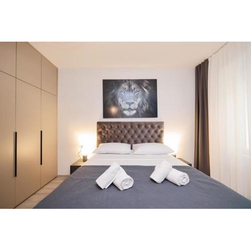 Classy apartments in city centar