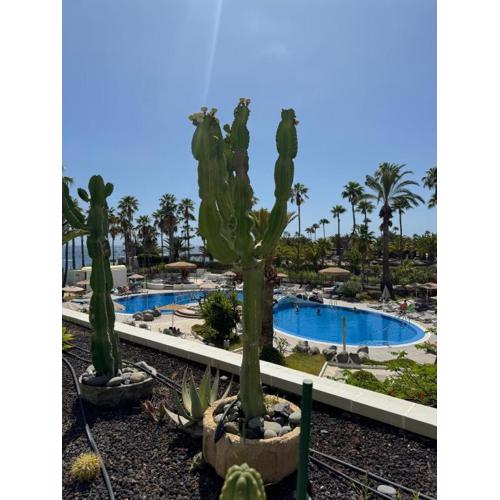 Classy Studio La Caleta