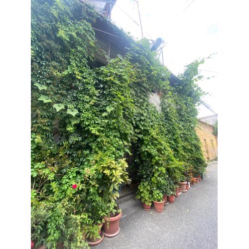 Cloud 9 Hostel