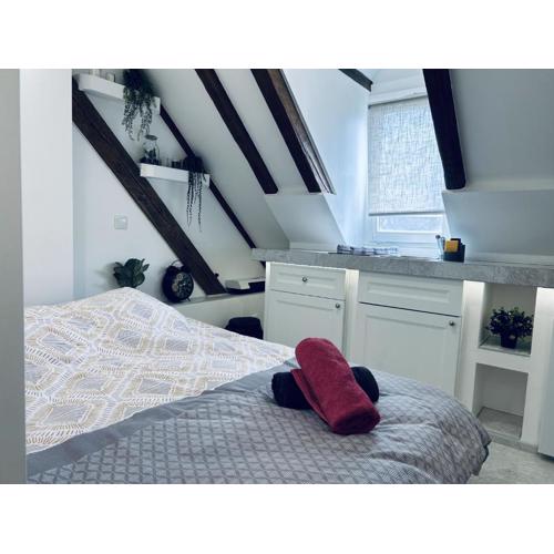 Cocon au cœur de Strasbourg